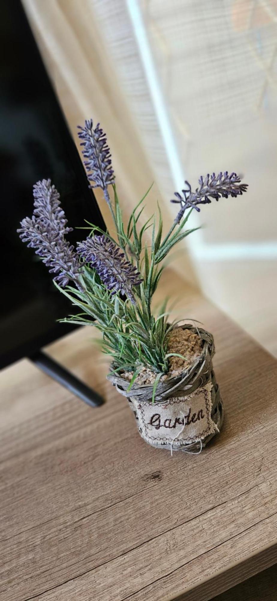 Greta Apartman Hajdúszoboszló Buitenkant foto
